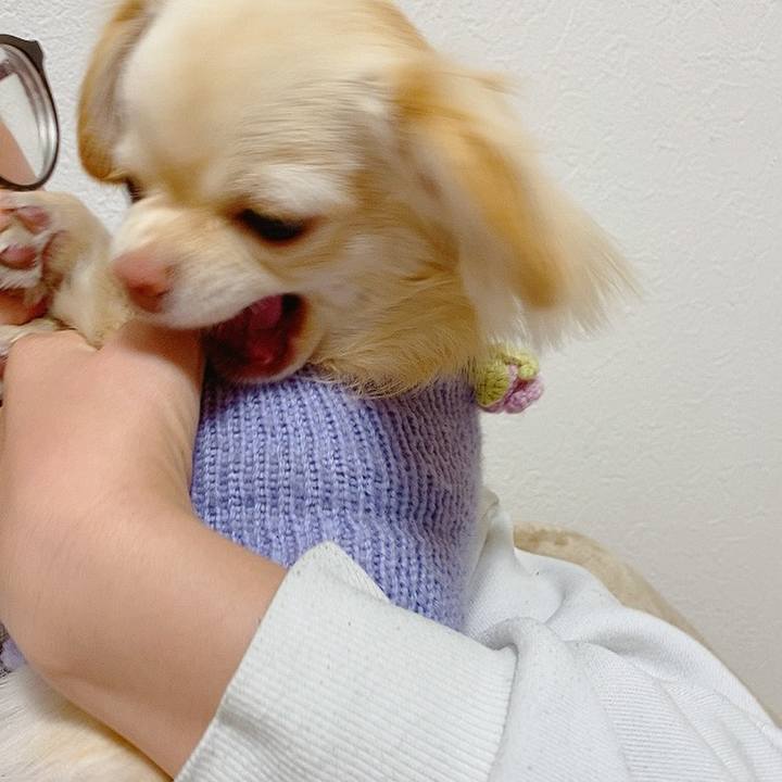 36f56a81 7fd4 4ad1 a499 d4e3e0e0f157 1614395031837