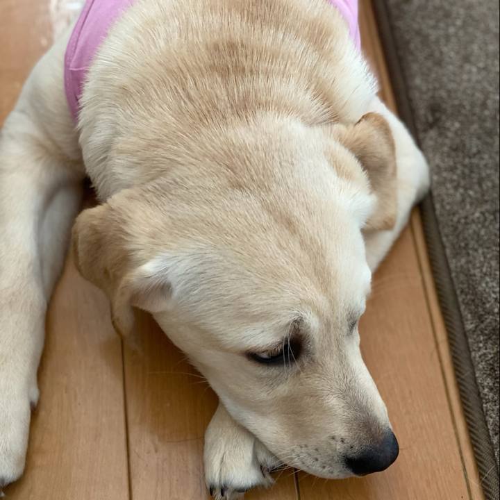 36f57fa6 504e 4b35 b5ef 03ddf67e7eb4 1615766310654