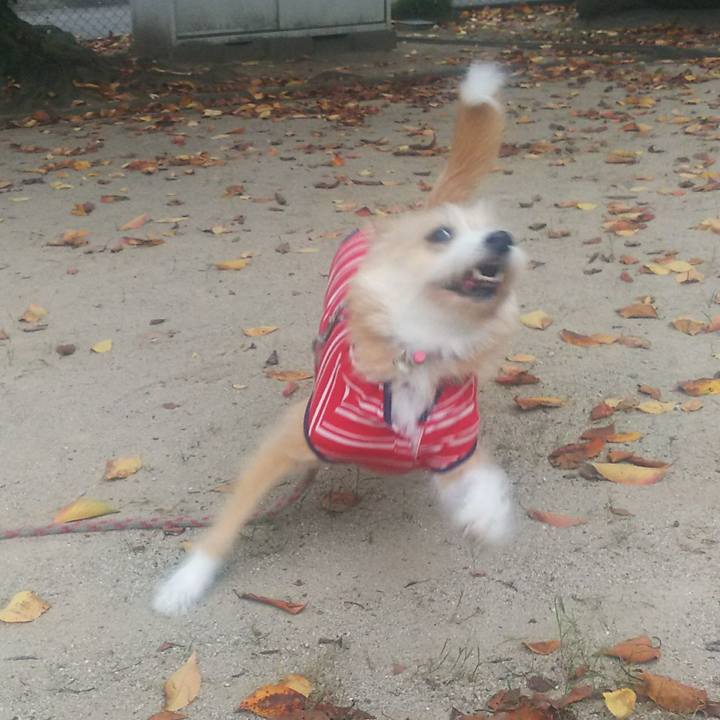 36f58c5b 121b 4ec6 aaa8 277188122de3 1507860341808