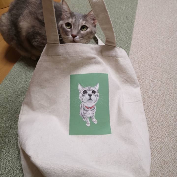 36f5b2fc 7193 4b05 8828 3246f6b9d0d6 1582618873310