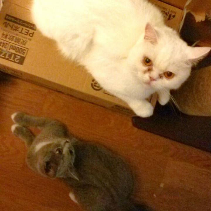 36f5b31a f423 49c5 9bae 37a5e8c3d2aa 1534371724638