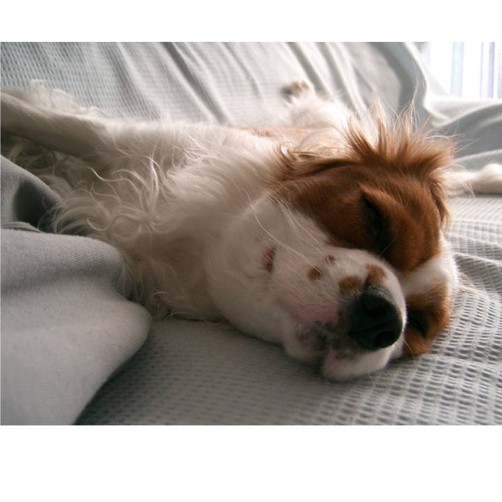 36f5b371 6e43 470b 88b2 5db17d65dd25 1541628226178