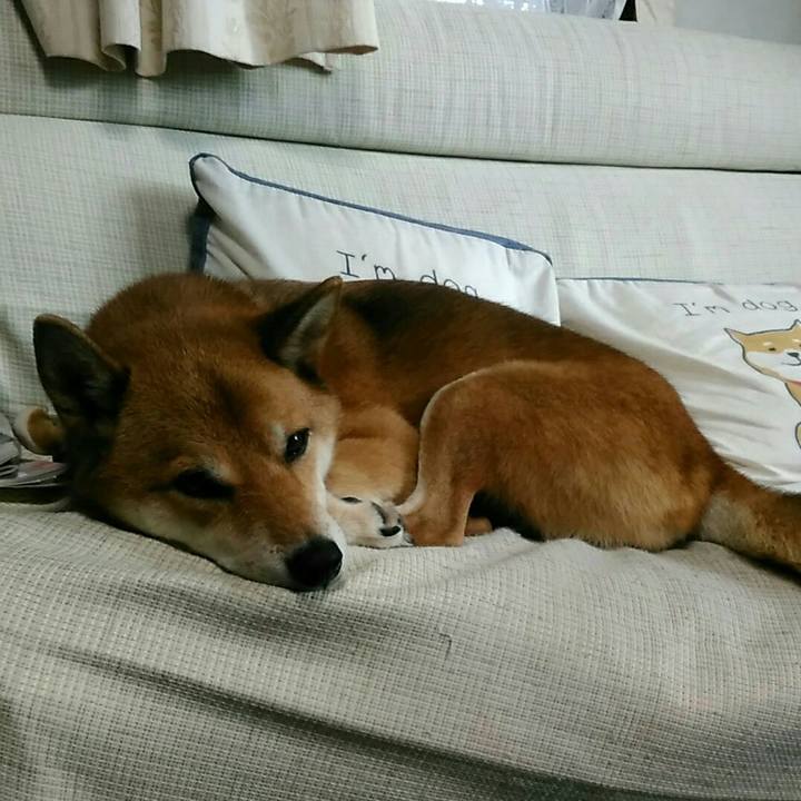 36f5e14f d86b 43d6 af4f 0ad55e12aeff 1539831919995