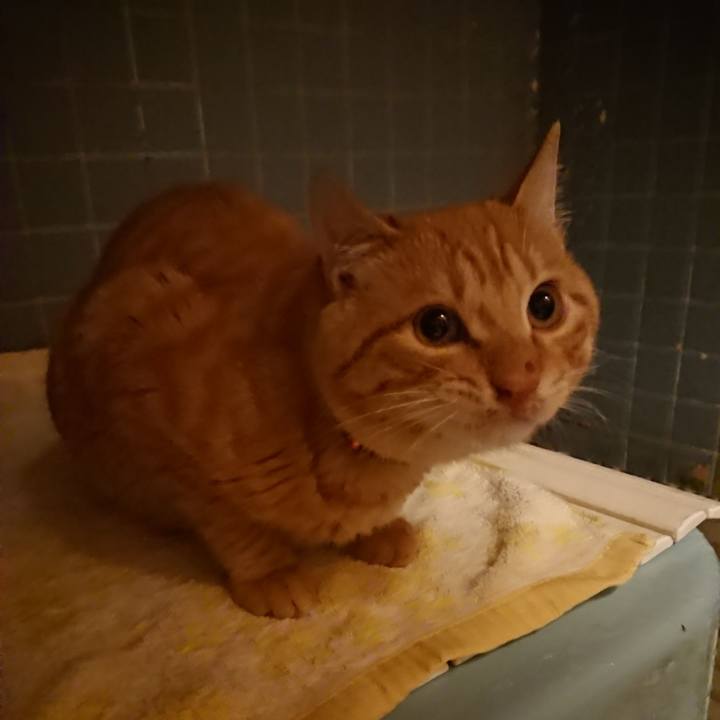 36f62bae a415 4257 9974 5e53be20fc71 1640254043175