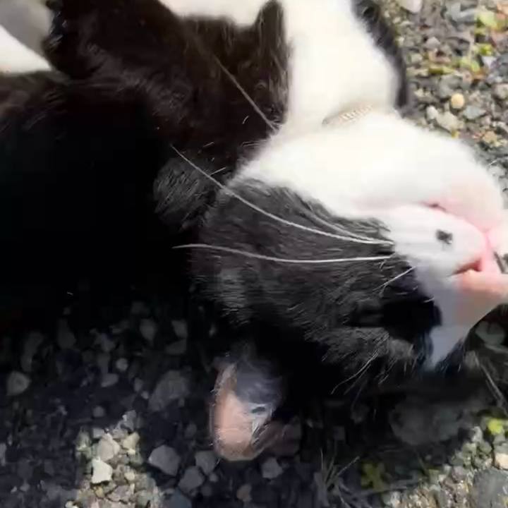 36f63a3c 158c 43e2 82a6 241258d55df5 1742695166819