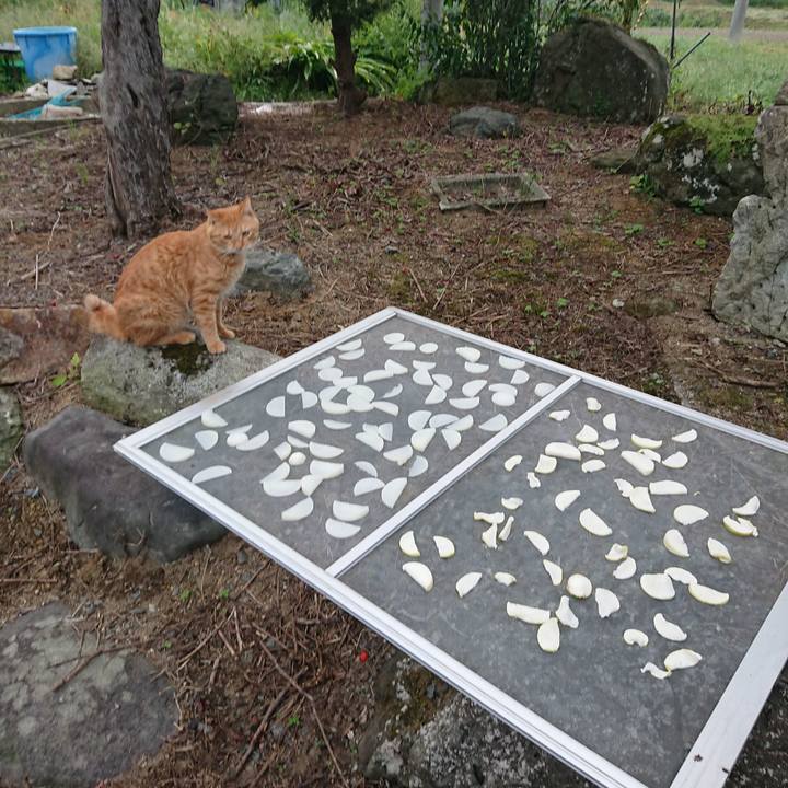 36f67f82 9bc5 4cd3 a9d3 f768d8d7af6d 1663364380260