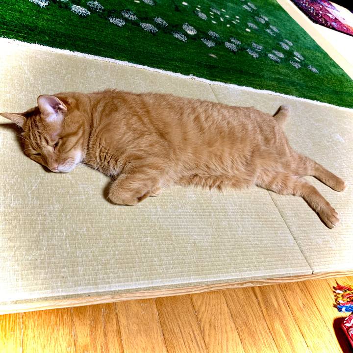 36f688a8 aa9e 4af0 9a27 fba3abe115dd 1621857316324