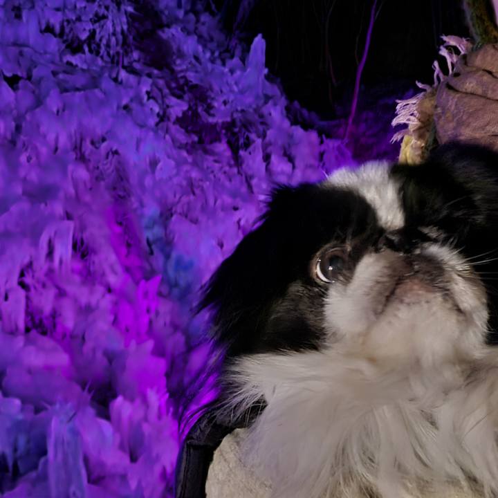 36f70aab f67f 4c4f b3f1 f369385d1783 1769261996555