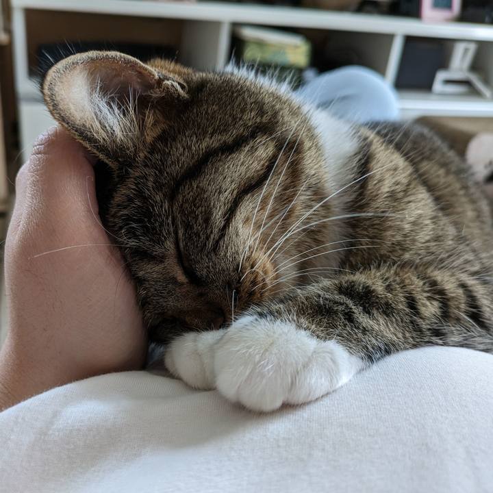 36f73f40 c27f 4772 b6bd 266de635d8cf 1691455474951