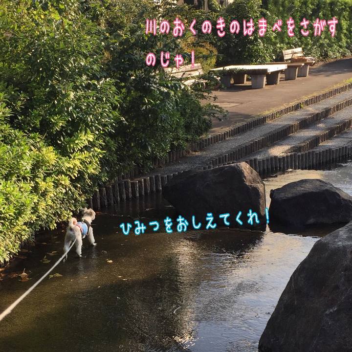 36f74f82 fe73 4021 9019 c904c5250453 1540626052120