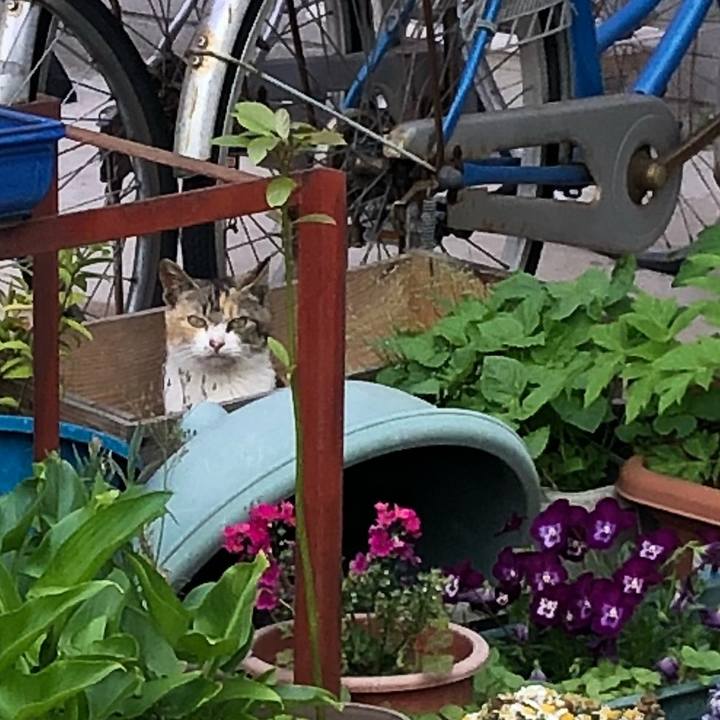 36f755f4 d71f 49fd a947 3a271c4b9a2a 1524730482605