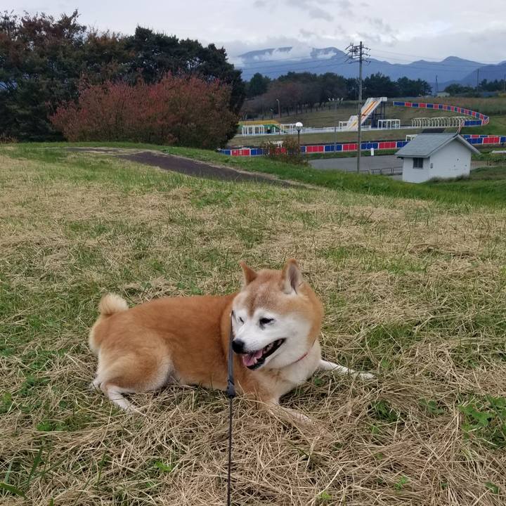 36f77d42 98e5 4dd2 9636 5d705ccfeffd 1729236159879