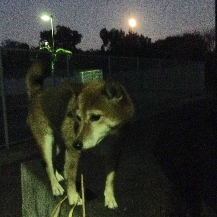 36f793f0 c9e1 4af4 bba8 f034305ef730 1509699323147