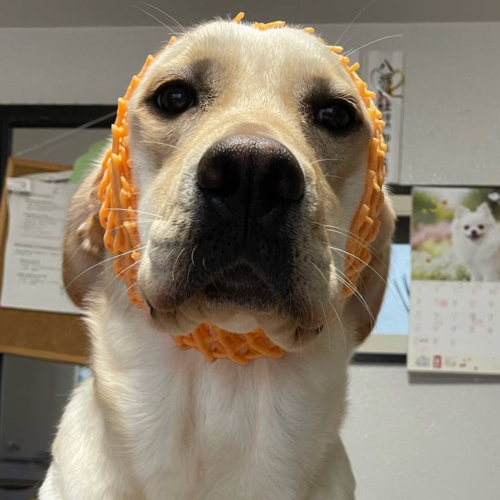 36f79658 94fa 4866 a0a0 57d44197558b 1652353327985