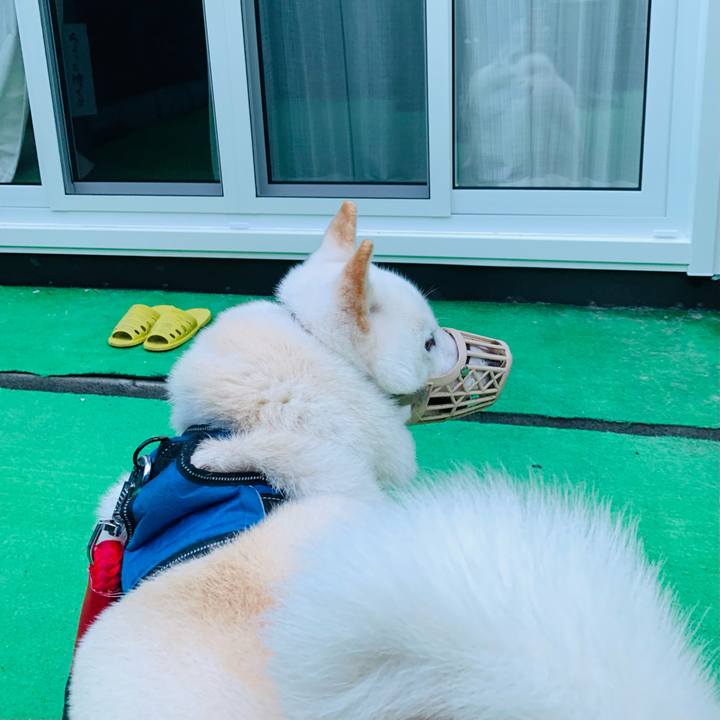 36f7ab94 eafb 4fcd b264 9dfa33549065 1664139552282