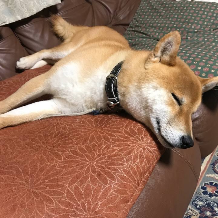 36f7c2ff cef5 4e33 90ab ceaadb80709b 1525953826659