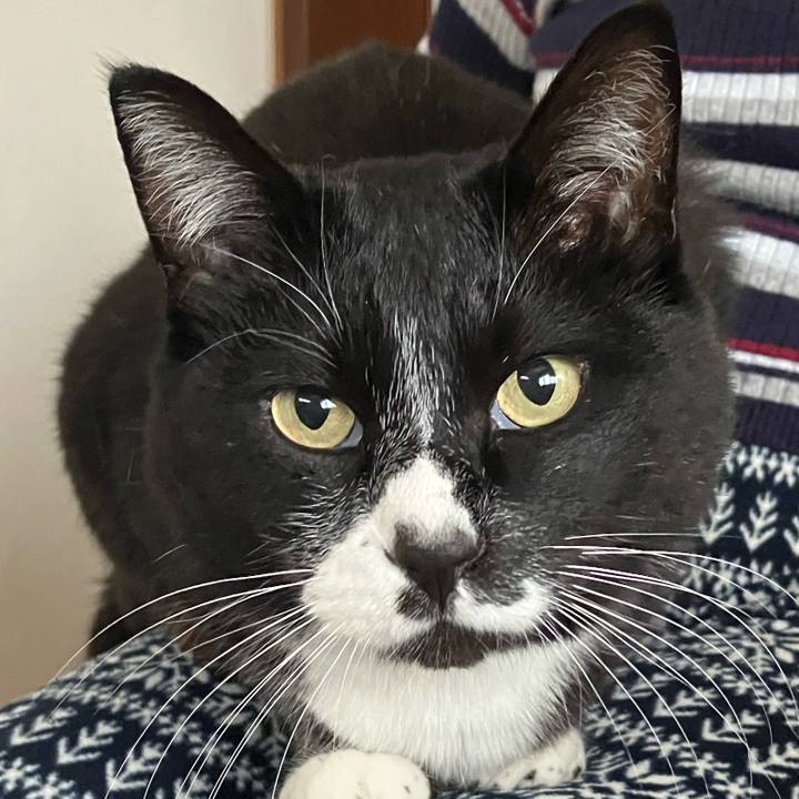 36f7c496 3df1 431f bbfd 7cf0e2dfe8c2 1748684151261