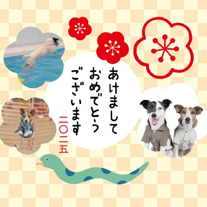 36f7d855 5f3a 46f8 bac0 2f045db83f9f 1735684165480