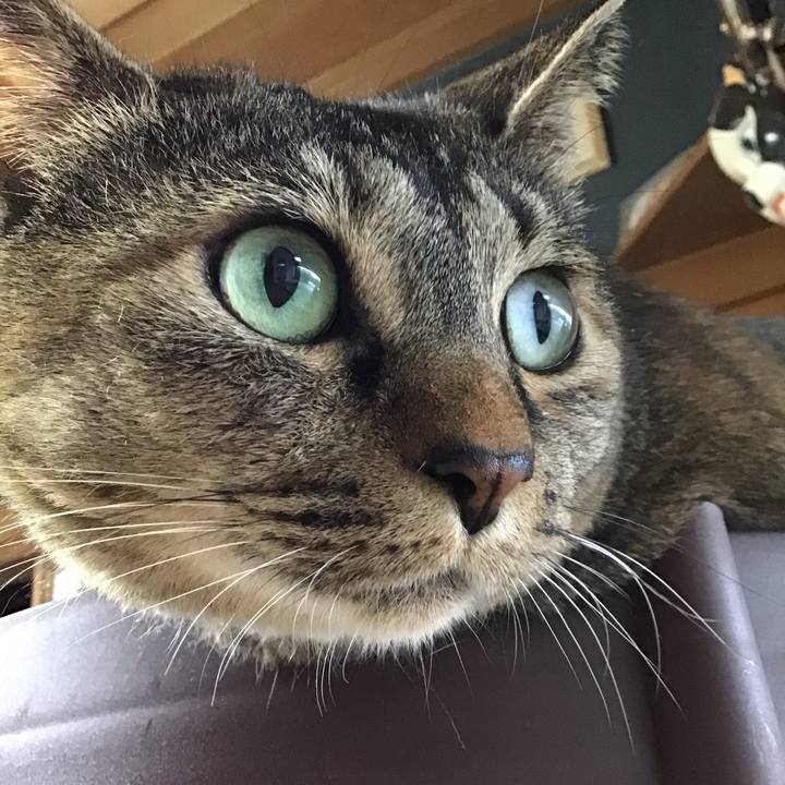 36f82323 7421 4635 8985 9d2cccf8e67a 1750325567591