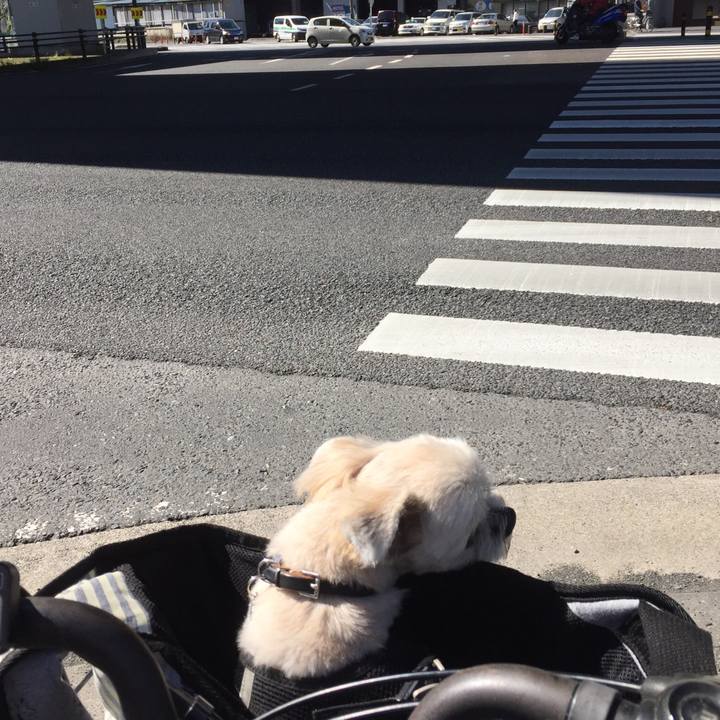 36f84240 f4c5 4963 be06 e04c1596864c 1538118604167