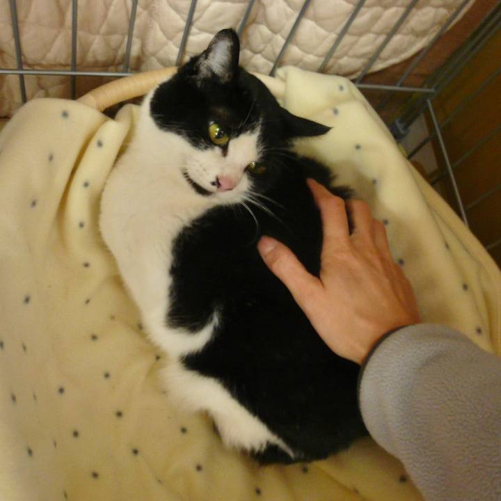 36f85637 867b 437c ba9b f703514b459f 1580473372276