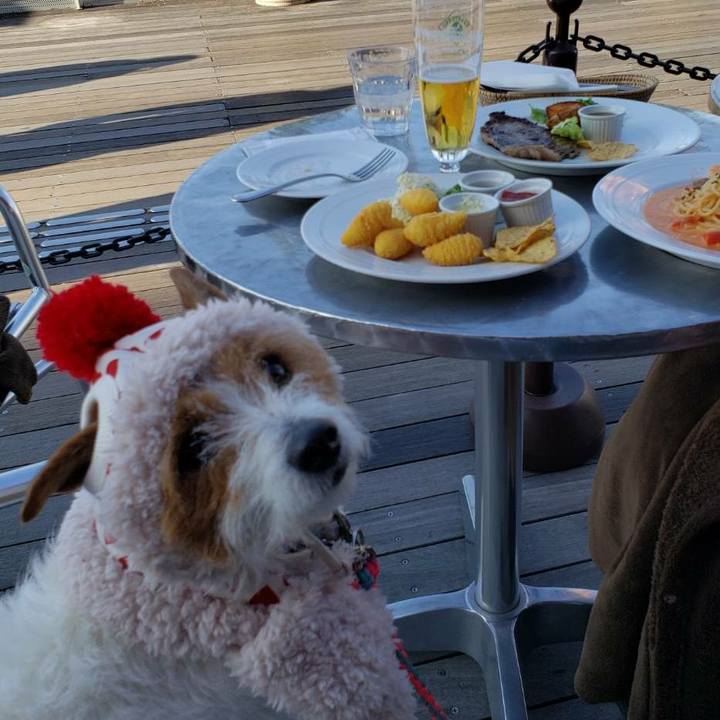 36f87046 fc28 4805 988c 8d83722b7b78 1581427028354