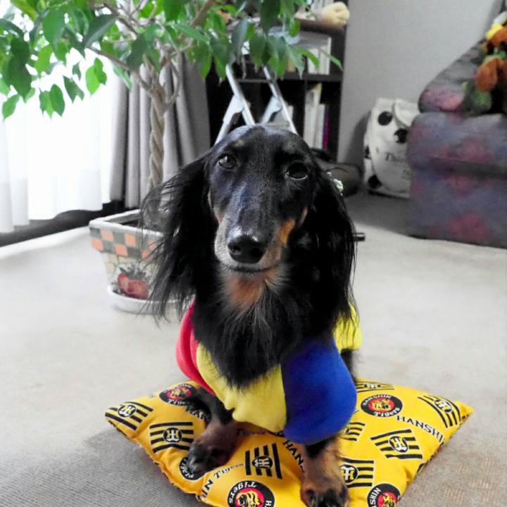 36f876ee e97c 41b9 ad5b be3970f69f60 1543893995206