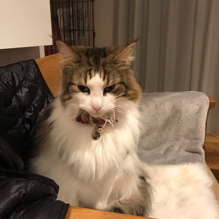 36f878d2 be74 43ed a3c6 fd96e30d9f57 1610979728585