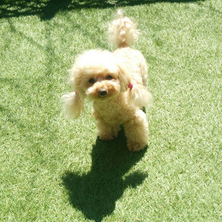 36f88bf2 5390 4fd1 8891 a1f7c8f11cdc 1555403516113