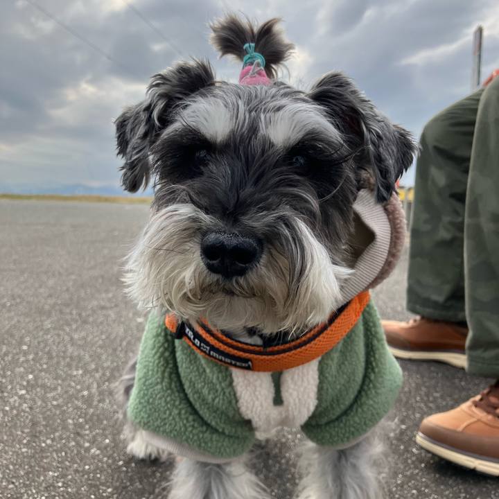 36f89733 a9cc 468b a460 959fff553600 1741852424787