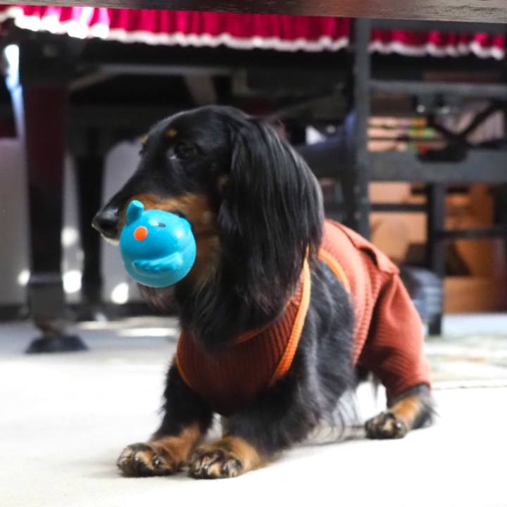 36f8a58a a3b4 4bf9 9135 e56827c79fe2 1607319492278