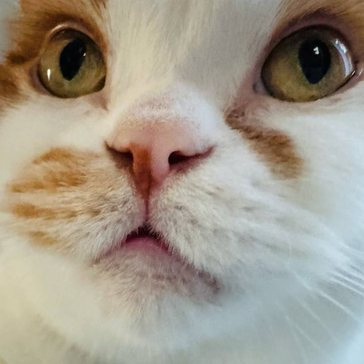 36f8b0a9 67f6 4ac0 aca7 133068be5b61 1767876919381