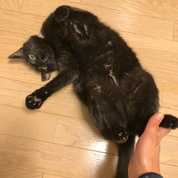 36f8cf7a 9f2a 416d b9e0 9e5834023e85 1517494754191