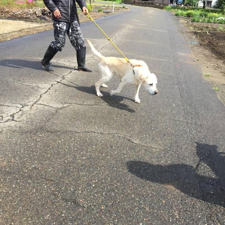 36f90339 b03c 4748 b92d 75e07eae002a 1525394354626