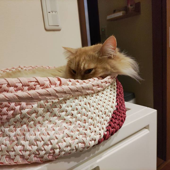 36f92100 d283 4aa7 ae31 aac2f7ef420e 1714301363018