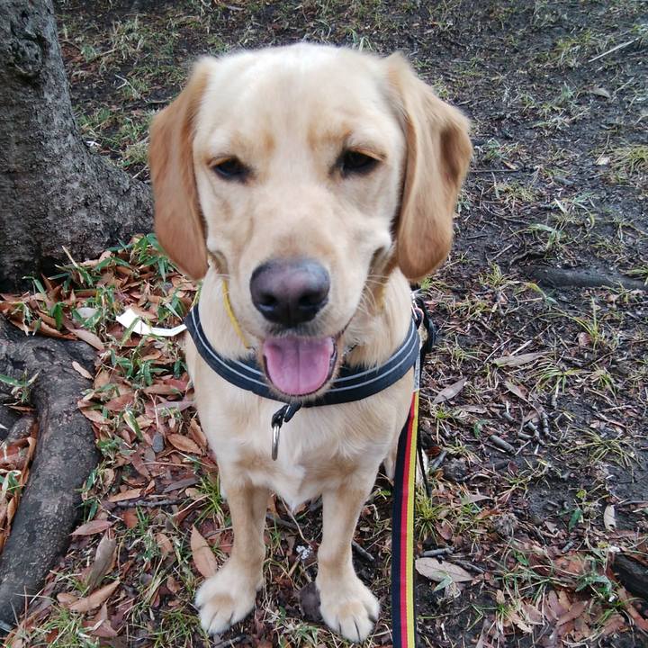 36f928aa d2fc 4ce6 bfdc a255700826d9 1516248805360