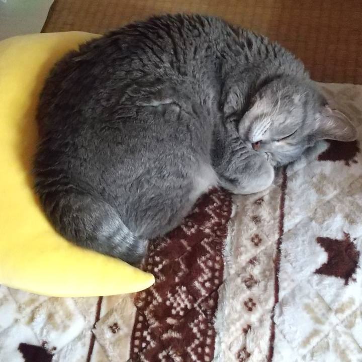 36f930a1 5d37 460d ab36 b12c4857e6c8 1686559260196