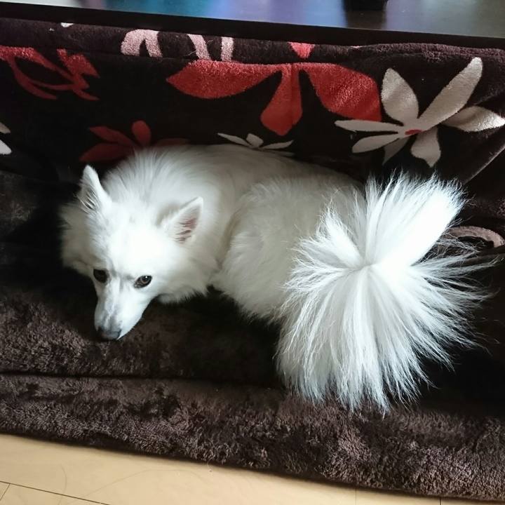 36f94a8d 9f00 413e 9ff4 a28525cbaa00 1514094264207