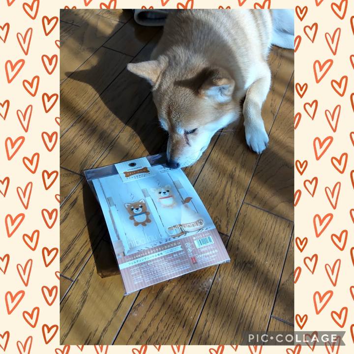 36f95c07 38d0 4644 be9c 572f62353add 1737347429203