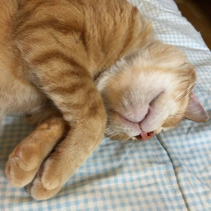 36f98494 da4d 4215 bd3e 807ea1247401 1566047624573