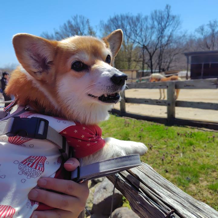 36f99555 b60d 4e7a 9c9a a80c8893feab 1777131339206