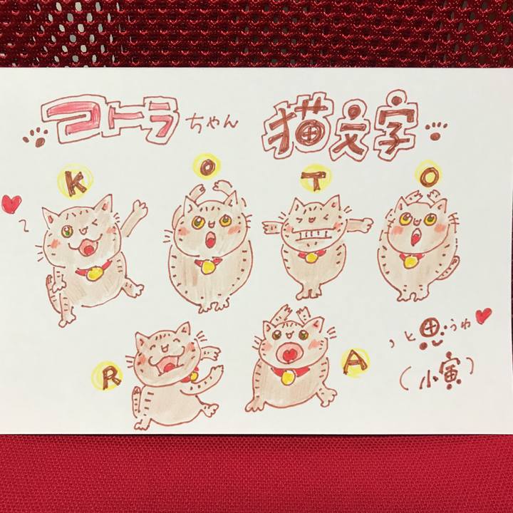 36f9aa7e 27e2 4e74 84ea d13d8e20859e 1553004701301