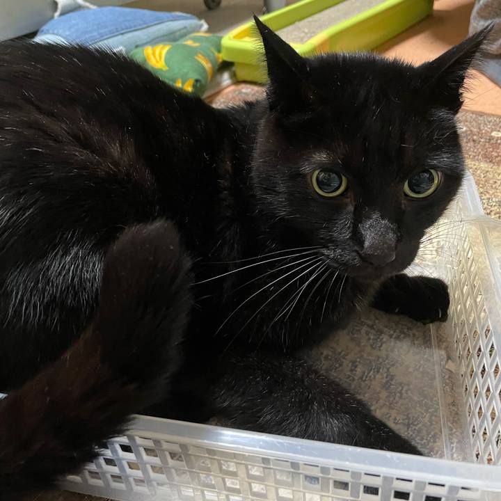 36f9cb03 a9c9 4ab9 87c2 ec0f9cd32ea1 1606440904790