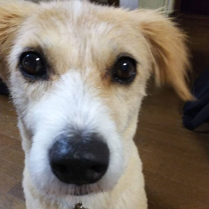 36f9f9cb 4e7f 46d1 9dd5 a7b6f6ecac51 1534418475765