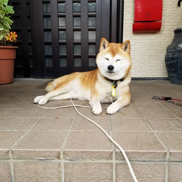 36fa061c 1939 4e25 82e6 277fe00e83c5 1652658429551