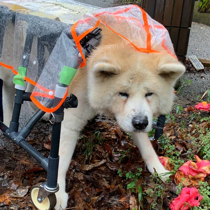 36fa5aa1 56ef 49b8 9267 9f31a43286d3 1679819111699