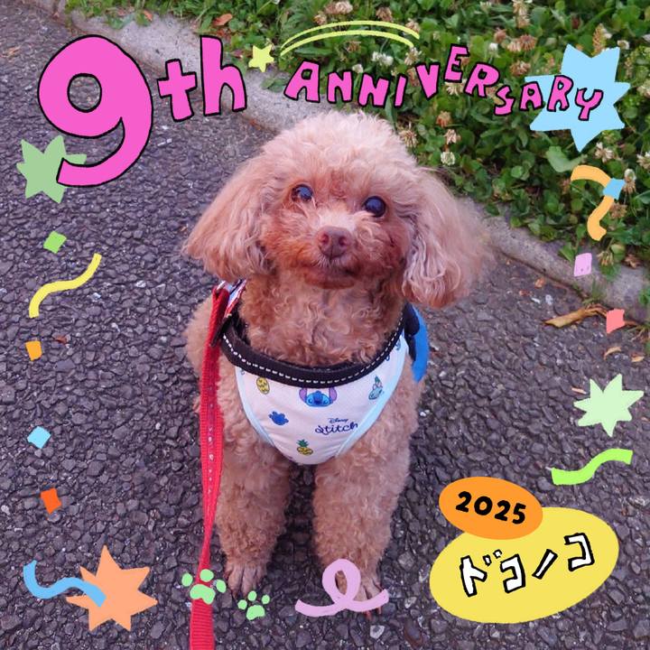 36fa7ec9 b590 49f9 ac96 b1a82224e016 1749526547109