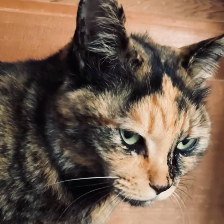 36fa8391 9957 44e1 90b7 06c05ee16016 1738199606604