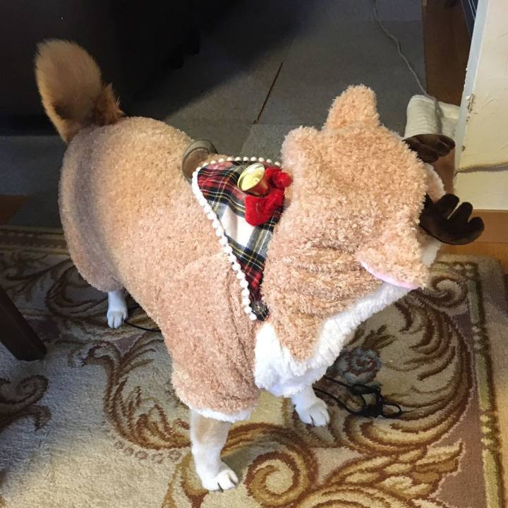 36fa8d53 9aff 4db5 9fb8 b69cf03168dd 1577158624296