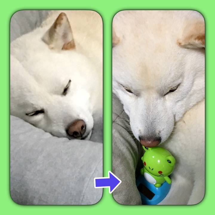 36fa9183 72a5 4e64 887f 15951aa0de30 1554509857754